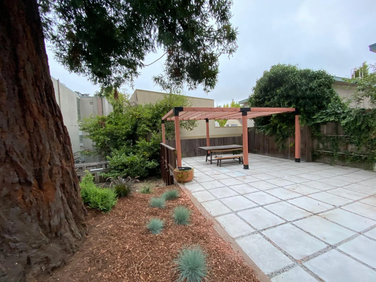 Concrete paver patio with a cedar pergola under a redwood tree
